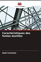 Nabil Fatahalla - Caractéristiques des fontes ductiles