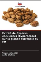 Anita Chukwu, Tajudeen Lamidi - Extrait de Cyperus esculentus (Cyperaceae) sur la glande surrénale du rat