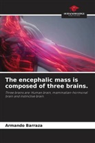 Armando Barraza - The encephalic mass is composed of three brains.