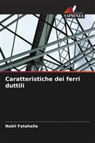 Nabil Fatahalla - Caratteristiche dei ferri duttili