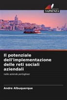 André Albuquerque - Il potenziale dell'implementazione delle reti sociali aziendali