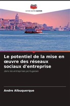 André Albuquerque - Le potentiel de la mise en oeuvre des réseaux sociaux d'entreprise