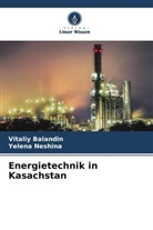 Vitaliy Balandin, Yelena Neshina - Energietechnik in Kasachstan