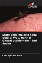 Chan Ngor Bak Matik - Stato della malaria nella città di Wau, Bahr El Ghazal occidentale - Sud Sudan