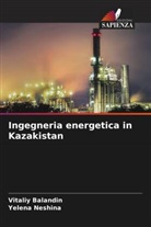 Vitaliy Balandin, Yelena Neshina - Ingegneria energetica in Kazakistan