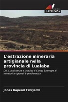 Jonas Kapend Tshiyamb - L'estrazione mineraria artigianale nella provincia di Lualaba