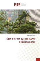 Mohammed Siline - État de l'art sur les liants géopolymères