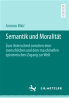 Antonio Biki¿, Antonio Bikic - Semantik und Moralität
