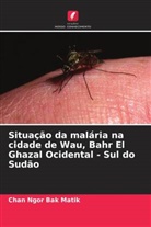 Chan Ngor Bak Matik - Situação da malária na cidade de Wau, Bahr El Ghazal Ocidental - Sul do Sudão