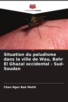 Chan Ngor Bak Matik - Situation du paludisme dans la ville de Wau, Bahr El Ghazal occidental - Sud-Soudan