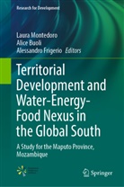 Alice Buoli, Alessandro Frigerio, Laura Montedoro - Territorial Development and Water-Energy-Food Nexus in the Global South