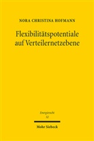 Nora Christina Hofmann - Flexibilitätspotentiale auf Verteilernetzebene