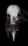 Aurora Dawn - Black Bird