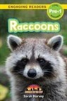 Sarah Harvey, Alexis Roumanis - Raccoons