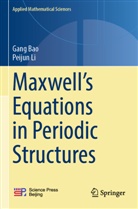 Gang Bao, Peijun Li - Maxwell's Equations in Periodic Structures