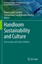 Miguel Ángel Gardetti, Miguel Ángel Gardetti, Subramanian Senthilkannan Muthu, Senthilkannan Muthu - Handloom Sustainability and Culture