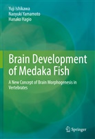 Hanako Hagio, Yuji Ishikawa, Naoyuki Yamamoto - Brain Development of Medaka Fish