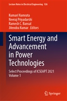 Ramesh C. Bansal, Ramesh C Bansal et al, Jitendra Kumar, Kumari Namrata, Neeraj Priyadarshi - Smart Energy and Advancement in Power Technologies