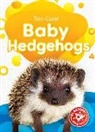 Elizabeth Neuenfeldt - Baby Hedgehogs
