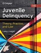 Larry Siegel, Larry J. Siegel, Siegel Larry - Juvenile Delinquency: Theory, Practice, and Law