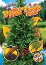Kirsten Chang - See a Pine Tree Grow