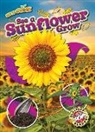 Kirsten Chang - See a Sunflower Grow