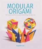 Tung Ken Lam - Modular Origami