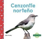 Julie Murray - Cenzontle Norteño (Northern Mockingbirds)