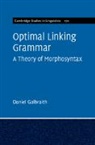 Daniel Galbraith, Daniel (Stanford University Galbraith - Optimal Linking Grammar: Volume 170