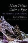 David Scheel, Laurel Yoyo Scheel - Many Things Under a Rock