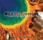 David Peterson - Wild Yellowstone