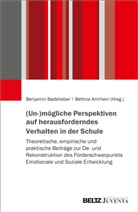 Amrhein, Bettina Amrhein, Benjamin Badstieber - (Un-)mögliche Perspektiven auf herausforderndes Verhalten in der Schule