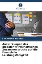 Sani Ibrahim Yar'adua - Auswirkungen des globalen wirtschaftlichen Zusammenbruchs auf die finanzielle Leistungsfähigkeit
