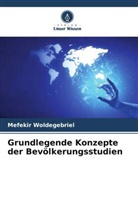 Mefekir Woldegebriel - Grundlegende Konzepte der Bevölkerungsstudien