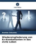 Anotida Chikumbu - Wiedereingliederung von Ex-Kombattanten in das zivile Leben