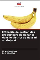 M. V. Chaudhary, P. B. Khodifad - Efficacité de gestion des producteurs de bananes dans le district de Navsari au Gujarat