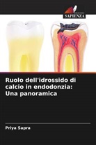 Amritpal S. Kullar, Anand C. Patil, Priya Sapra - Ruolo dell'idrossido di calcio in endodonzia: Una panoramica