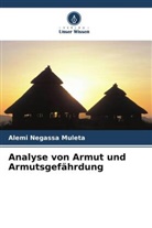 Alemi Negassa Muleta - Analyse von Armut und Armutsgefährdung