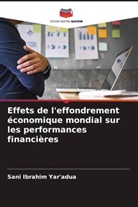 Sani Ibrahim Yar'adua - Effets de l'effondrement économique mondial sur les performances financières