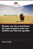 Kumar Singh - Études sur les caractères de type linéaire chez les buffles de Murrah gradés