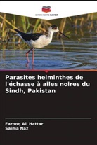 Farooq Ali Hattar, Saima Naz - Parasites helminthes de l'échasse à ailes noires du Sindh, Pakistan