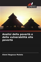 Alemi Negassa Muleta - Analisi della povertà e della vulnerabilità alla povertà