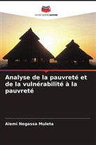 Alemi Negassa Muleta - Analyse de la pauvreté et de la vulnérabilité à la pauvreté
