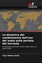 Taye Habte Asefa - La dinamica del cambiamento dell'uso del suolo sulla portata del torrente