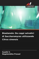 Nagalambika Prasad, Swathi V. - Bioetanolo: Da ceppi selvatici di Saccharomyces utilizzando Citrus sinensis