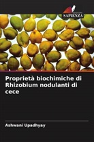 Ashwani Upadhyay - Proprietà biochimiche di Rhizobium nodulanti di cece