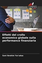 Sani Ibrahim Yar'adua - Effetti del crollo economico globale sulla performance finanziaria