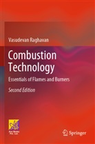 Vasudevan Raghavan - Combustion Technology