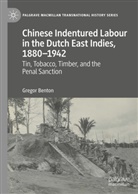 Gregor Benton - Chinese Indentured Labour in the Dutch East Indies, 1880-1942