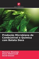 David Glasser, Diane Hildebrandt, Mannana Ntoampe - Produção Microbiana de Combustível e Química com Batata Doce